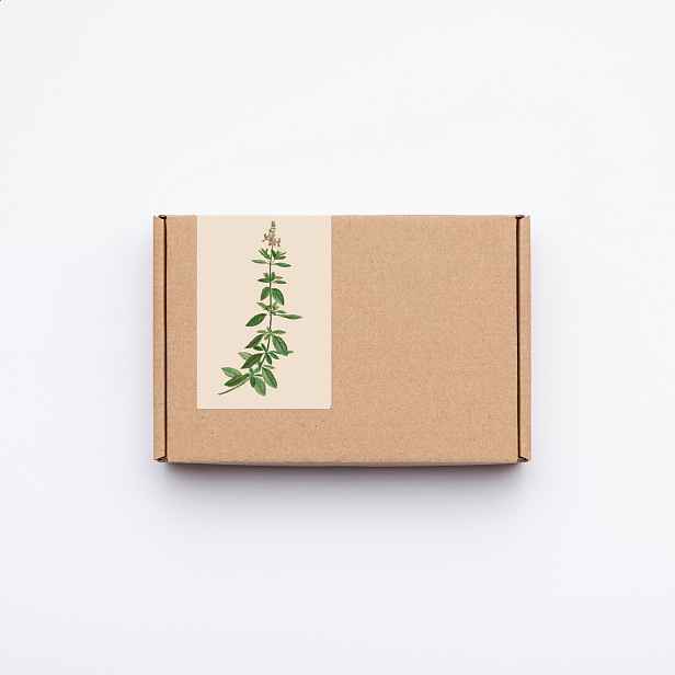 Culina Botanica Variace bazalek