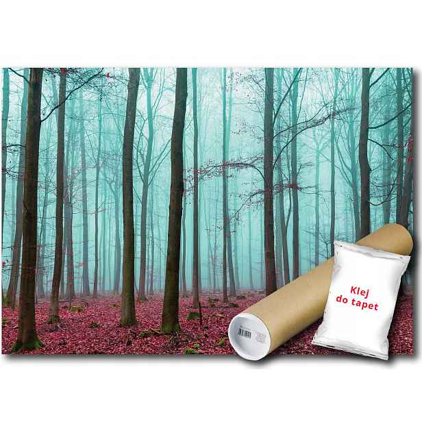 Vinylová Fototapeta Les Mlha Stromy 152x104
