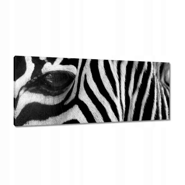Obrazy 100x40 Černobílé pruhy Zebra