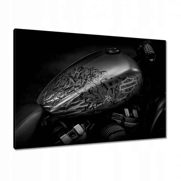 Obrazy 100x70 Harley Davidson Motocykl