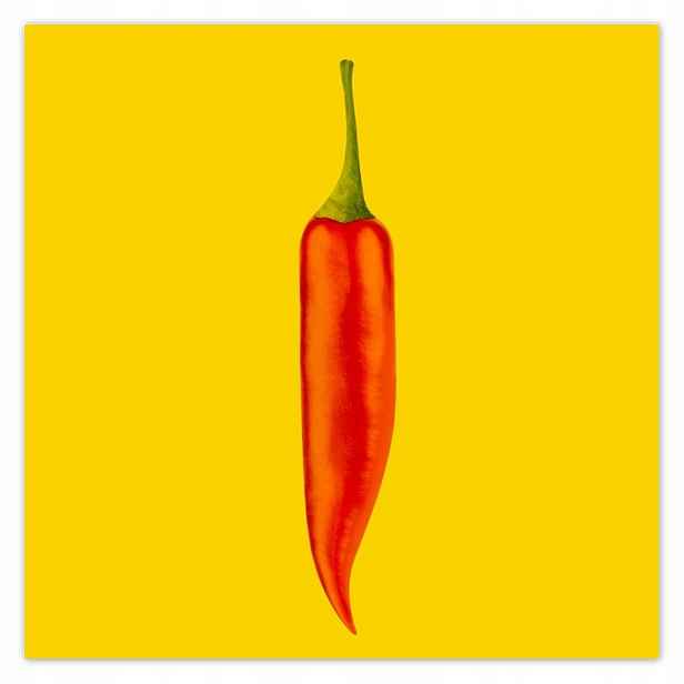 Plakáty 140x140 Červená chilli paprička