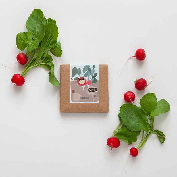 Culina Botanica Ředkvička pro malé zahradníky
