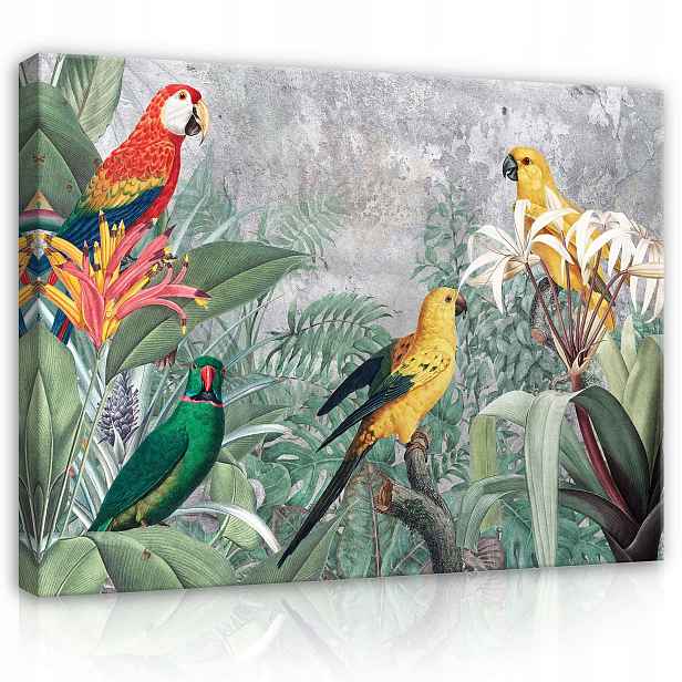 Obraz 100x75 Tropy papoušků exotika džungle ptáci listy příroda