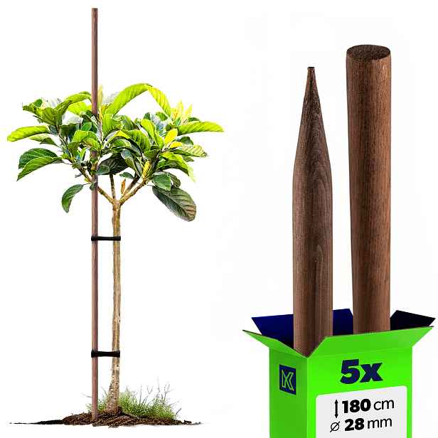 5 x Dřevěné Tyče Na Rajčata 180 cm Impregnované Podpěry 28 mm