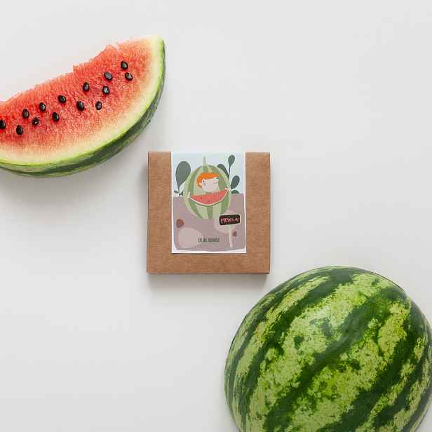 Culina Botanica Meloun pro malé zahradníky