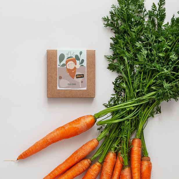 Culina Botanica Mrkvička pro malé zahradníky