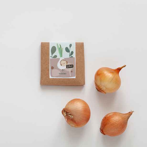 Culina Botanica Cibule pro malé zahradníky