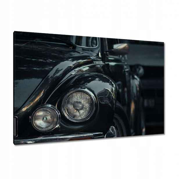 Obrazy 120x80 Černý hrbáč z renovace