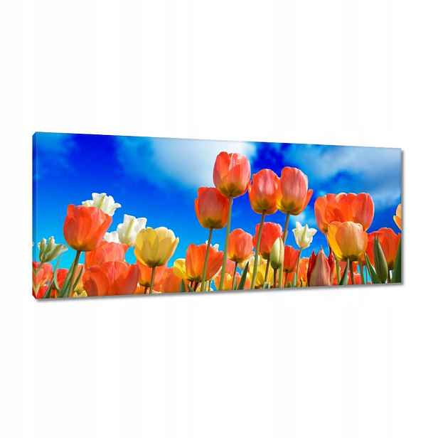 Obrazy 100x40 Barevné tulipány Květiny