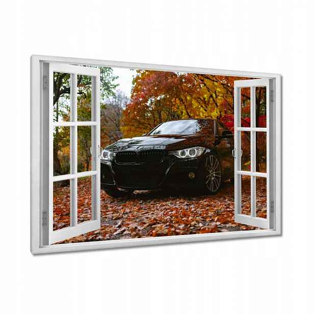 Černé obrazy 90x60 Bmw Podzim