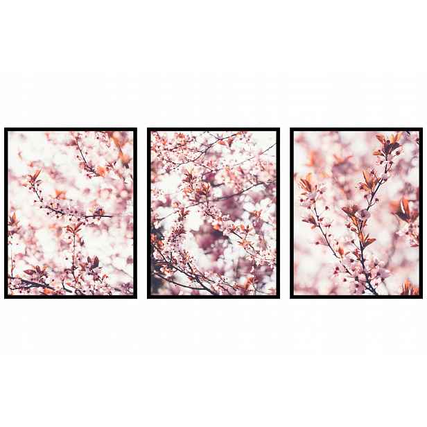 Květiny na stromech Triptych plakáty jaro 60x90 cm