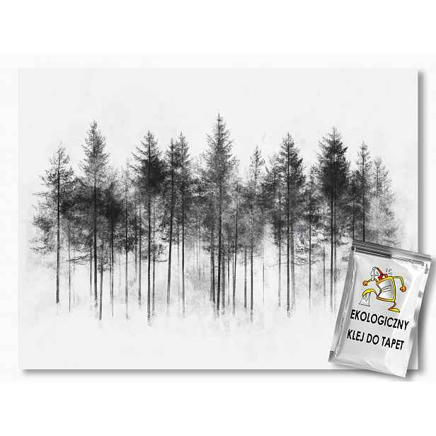 Fototapeta Flizelina Grafika Příroda Krajina Les Stromy Borovice 208x146 130g