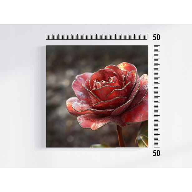 Obraz Na Plátně Canvas Květina Růže Růžička 3D Červená Zlato Makro 50x50