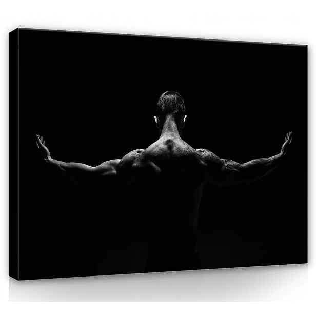 Obraz Na Plátně Canvas 70x50 Muž Akt Fotografie B&w Nahota Tělo