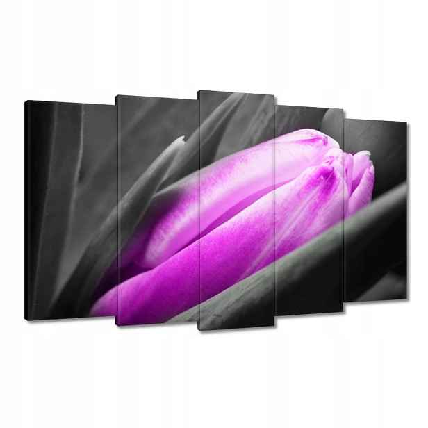 Obrazy 100x60 Fialový tulipán