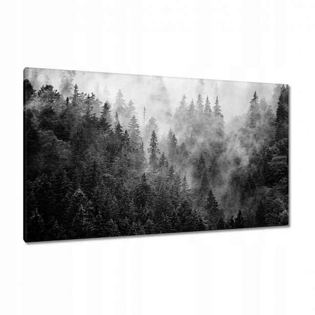 Obrazy 120x70 Krajina Šedá Hory Mlha