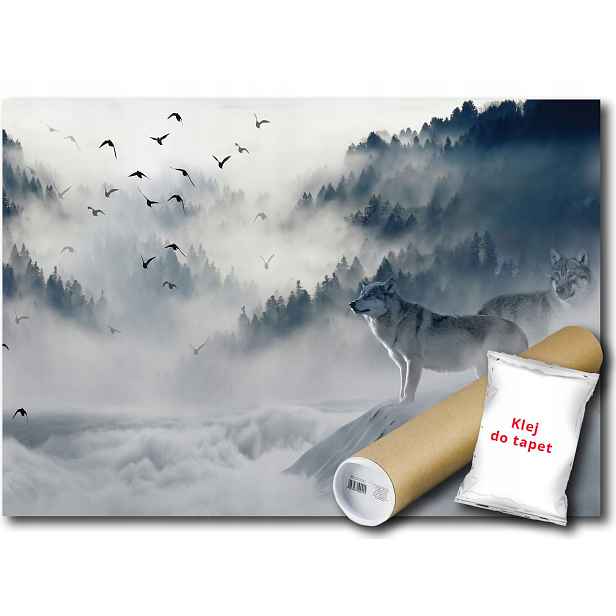 Vinylová Fototapeta Les Zima Ptáci VLCI 152x104