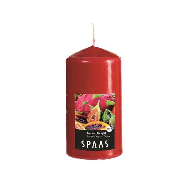 SPAAS Vonná svíčka válec 8x15cm tropical