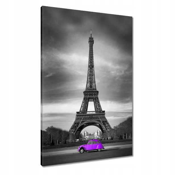 Obrazy 60x90 Fialová Citroen Věž