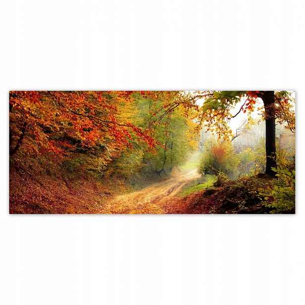 Fototapety 211x91 Cesta v lese podzim
