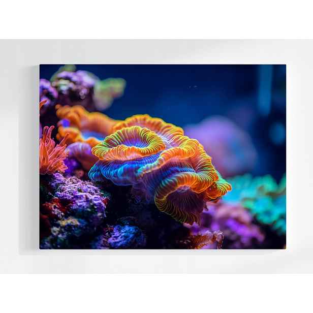 Plakát Voda Rafa Fauna Koral Příroda 100x75