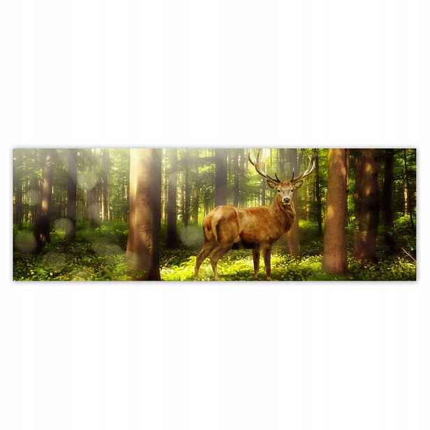 Plakáty 200x66 Jelen v kouzelném lese