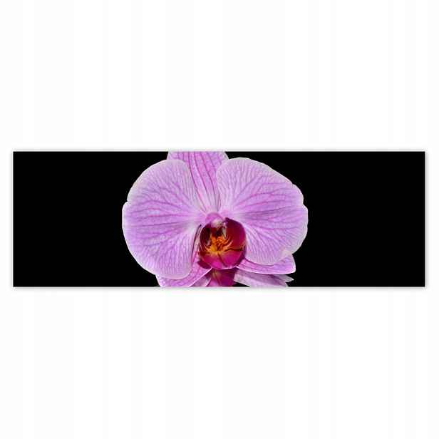 Plakáty 200x66 Fialový orchidej