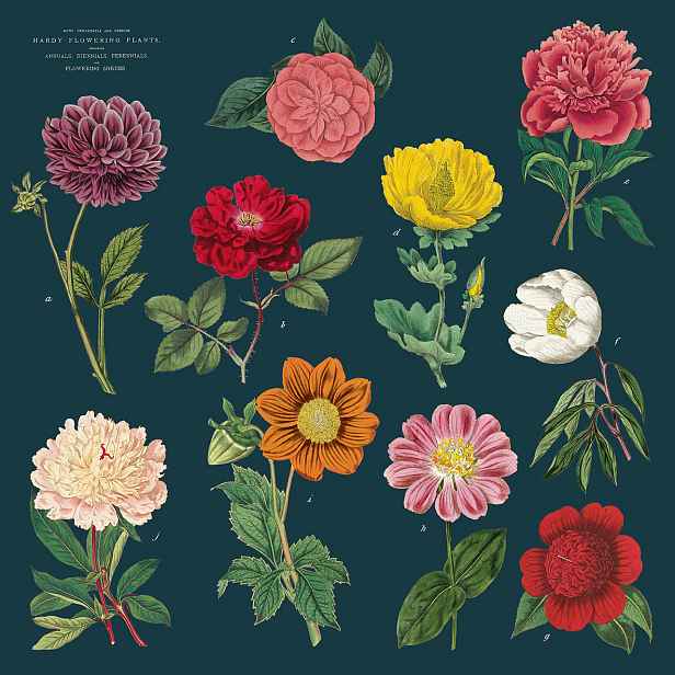 Látkové ubrousky Botanica – set 4 ks Cavallini & Co.