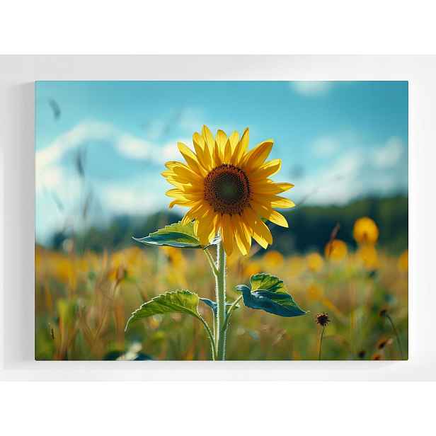 Plakát Květ Slunečnice Pole Louka Příroda 100x75