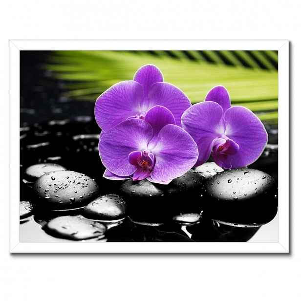 Plakáty v rámu 40x30 Fialové orchideje