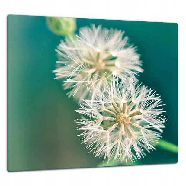 Skleněná Ochranná Deska Panel Lepidlo 65x60 Květiny