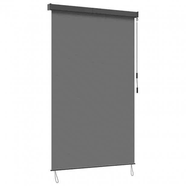 vidaXL Roleta Světle šedá 120 x 250 cm Textil a hliník