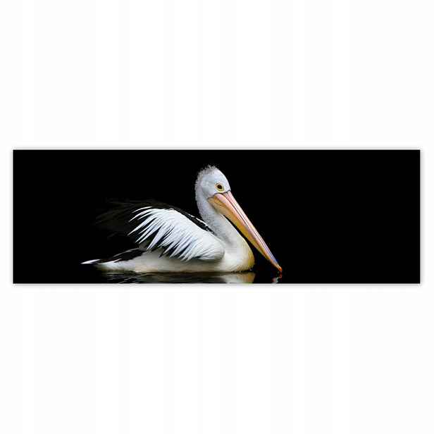 Plakáty 200x66 Kormoran