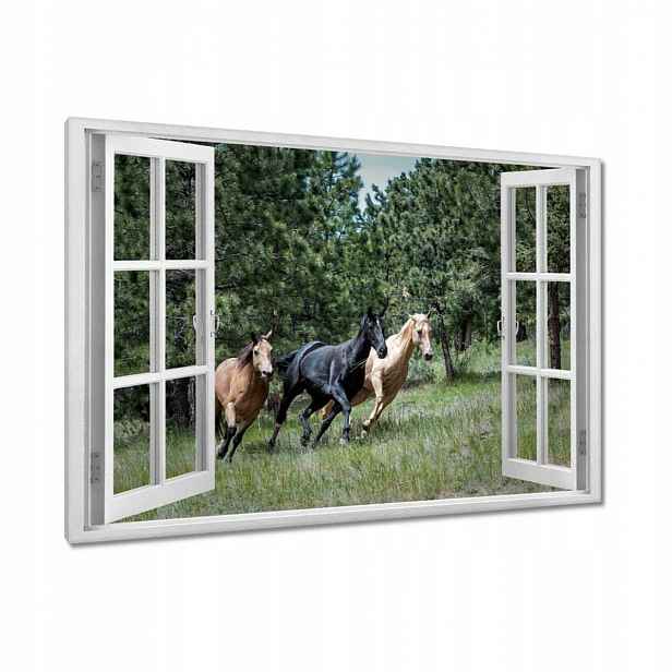 Obrazy 90x60 Kůň Jezdectví