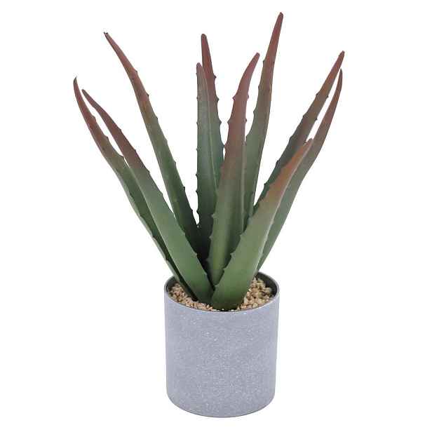 Ambia Home UMĚLÁ ROSTLINA aloe vera 32 cm