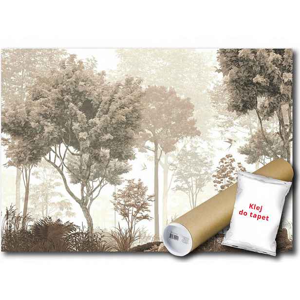 Vinylová fototapeta Les park podzim 152x104