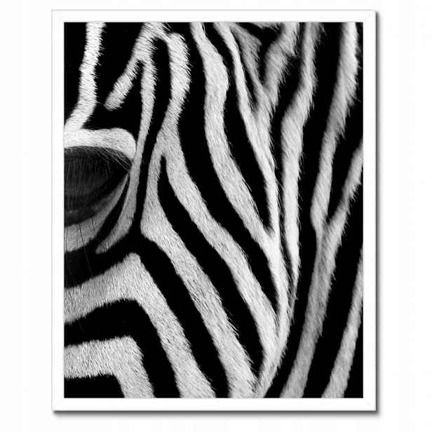 Plakáty v rámu 40x50 Černobílé pruhy Zebra