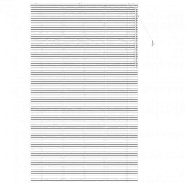 vidaXL Venet školní žaluzie Bílá 145 x 250 cm 35 mm Masivní paulovnie