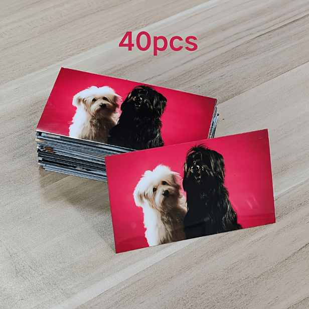 TEMU Sada magnetů s vlastním fotem, personalizované magnetické samolepky, logotyp pro firemní propagaci, suvenýr pro realitní makléře, fotografické
