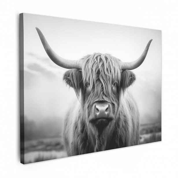 MuchoWow OBRAZ NA PLÁTNĚ Skotský horal - Mlha - Černá - Bílá 80x60 cm