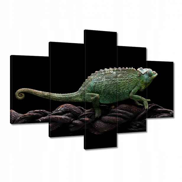 Obrazy 150x105 Dlouhý zelený chameleon