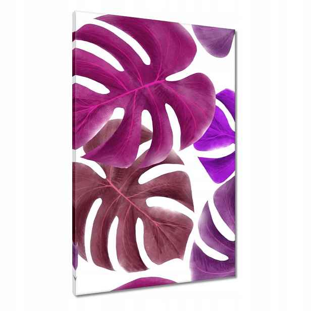 Obrazy 60x90 Monstera Listy Fialová