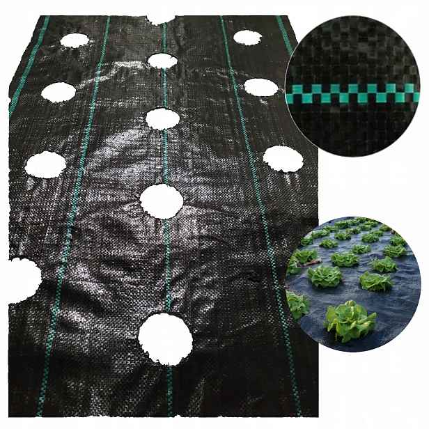 Agrotextilie s otvory pro sazenice 3 řady Velikost 110 cm x 10 m 90 g/m2