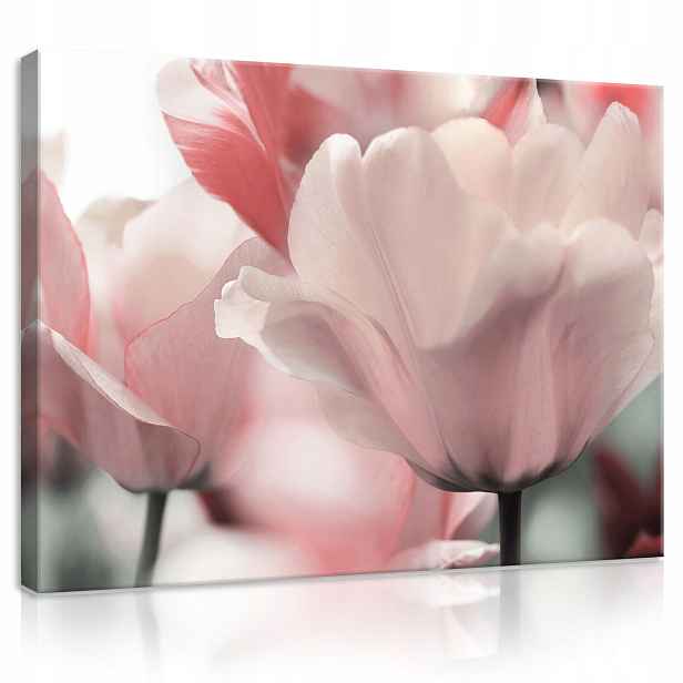 Obraz Květiny Tulipány Na Plátně Stěna Moderní Ložnice Velký 100x70