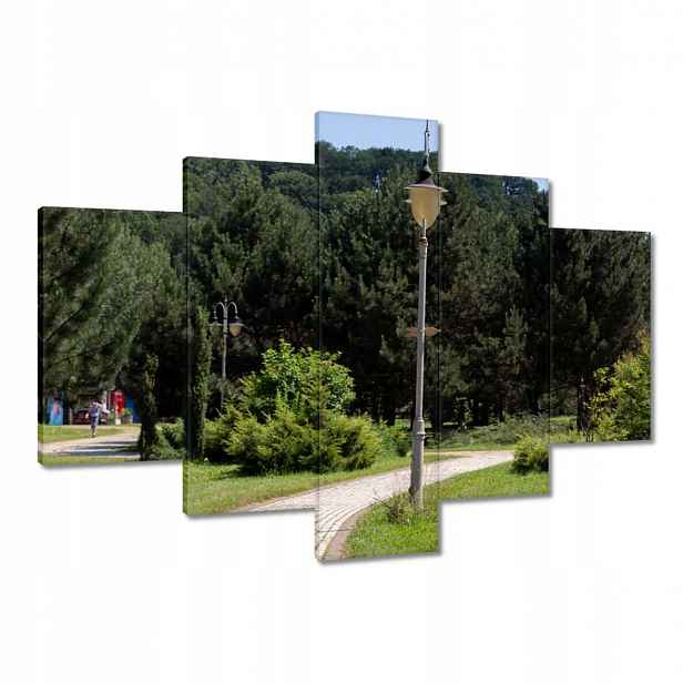 Obrazy 150x105 Zelený park se stromy