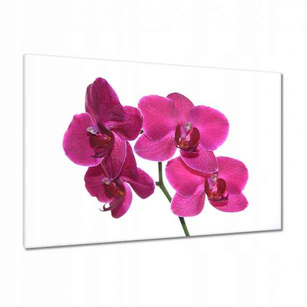 Obrazy 120x80 Fialový orchidej