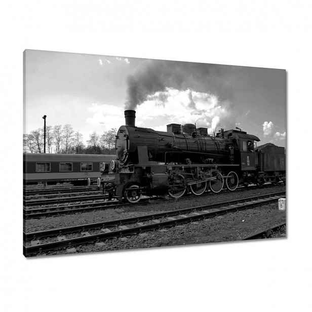 Obrazy 100x70 Wolsztyński parník TR565