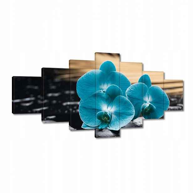 Obrazy 210x100 Tyrkysový orchidej Květina
