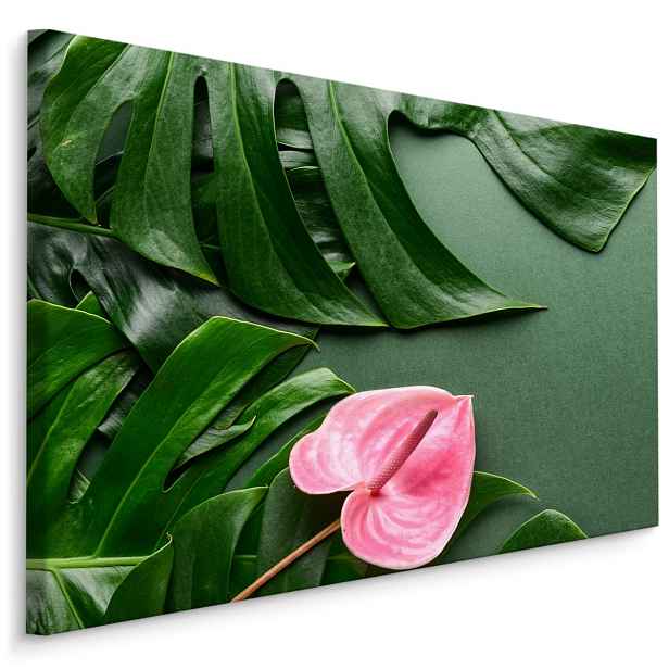 MyBestHome BOX Plátno Růžový Květ Na Pozadí Listů Monstera Varianta: 120x80