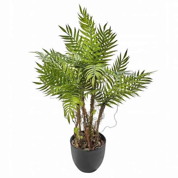 Amare Kapradina rostlina 60 cm zelená plast v květináči